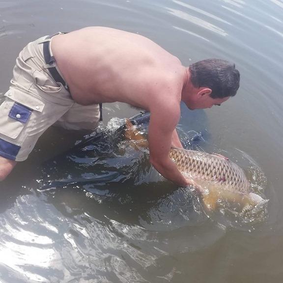 C&R - 7039590224945204272916723974172138507599872n1.jpg